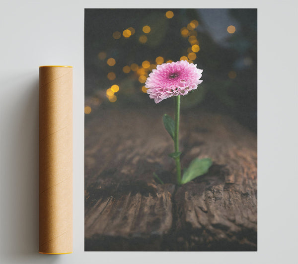 Pink Bloom Rises Giclee Print