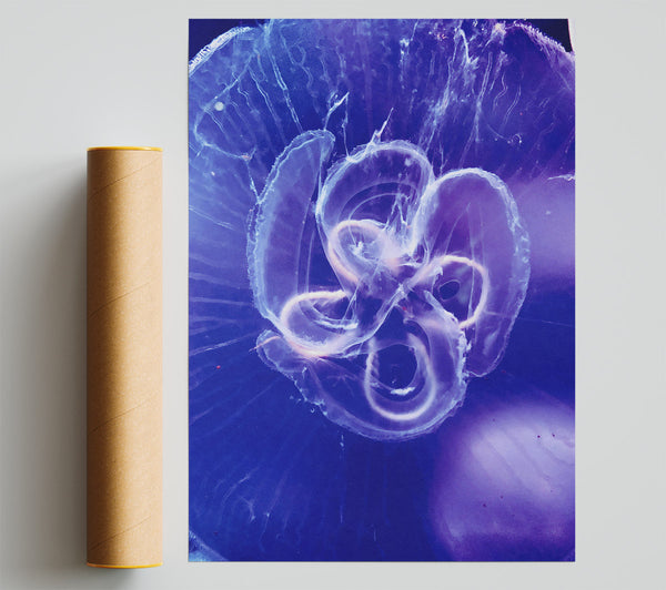 Indigo Jellyfish Bloom Giclee Print
