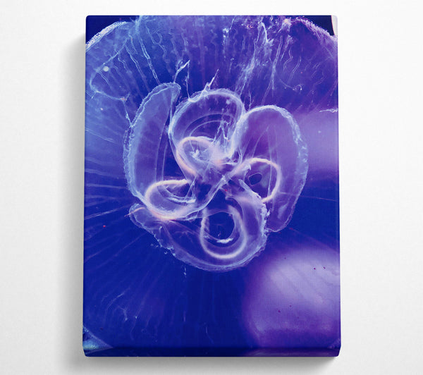  A Canvas Print of Indigo Jellyfish Bloom Canvas Art