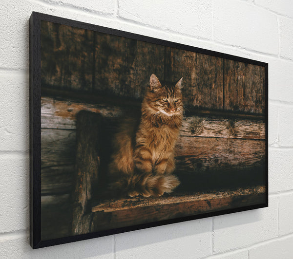 Golden Kitty On Wood