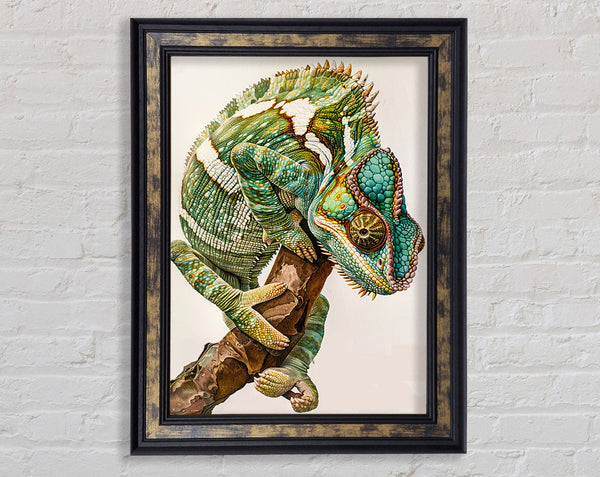Chameleon Looking Framed Print