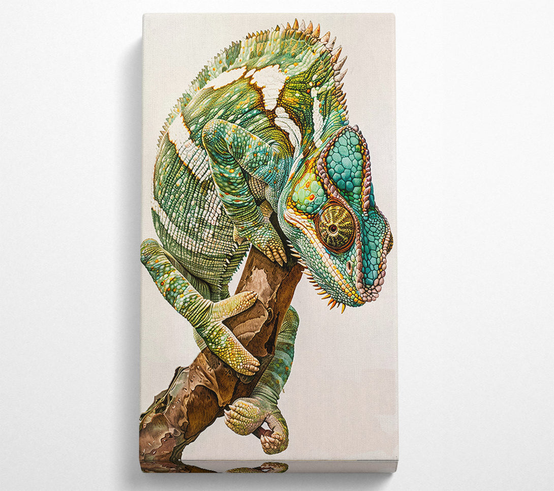  A Canvas Print of Chameleon Looking Canvas Wall Art
