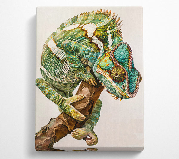  A Canvas Print of Chameleon Looking Canvas Wall Art