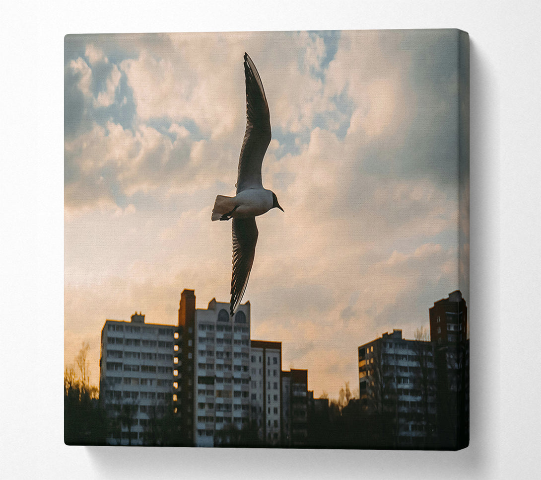  A Canvas Print of Golden Hour Flight Canvas Print