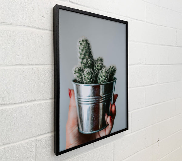 Silver Cactus Bloom