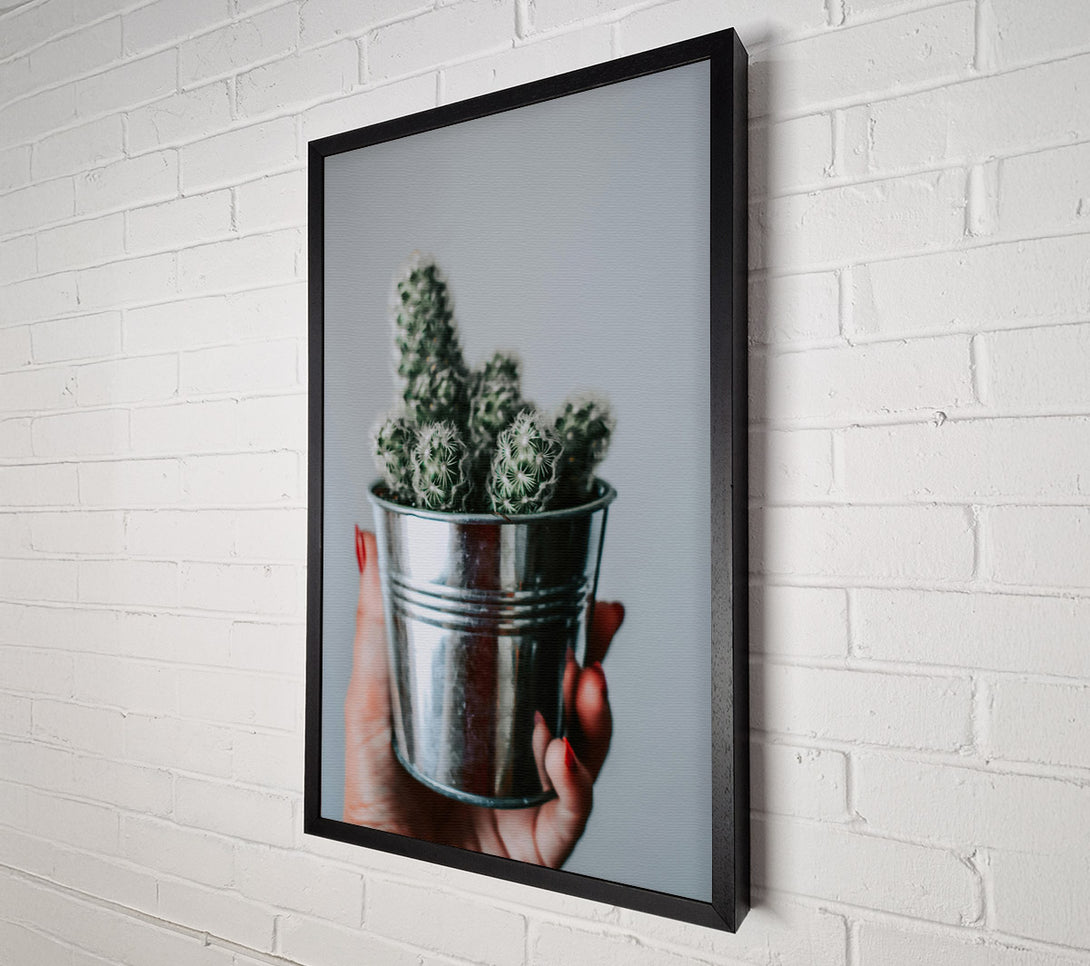  A Canvas Print of Silver Cactus Bloom Canvas Wall Art