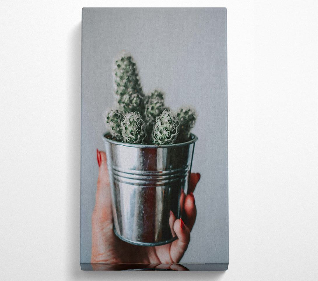  A Canvas Print of Silver Cactus Bloom Canvas Wall Art