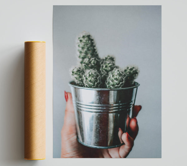 Silver Cactus Bloom Poster
