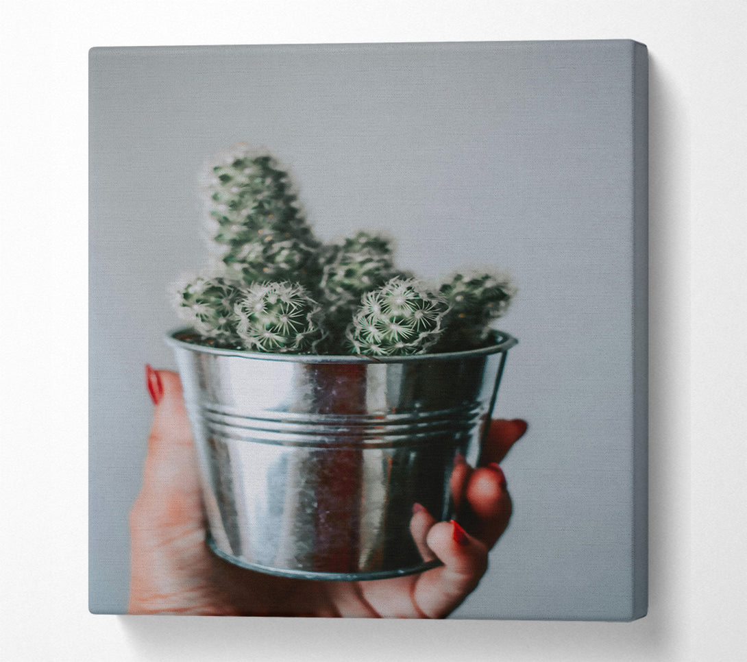  A Canvas Print of Silver Cactus Bloom Canvas Wall Art