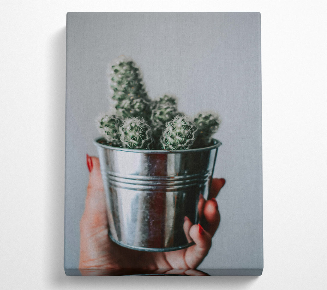  A Canvas Print of Silver Cactus Bloom Canvas Wall Art
