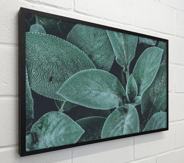 Emerald Leaf Texture
