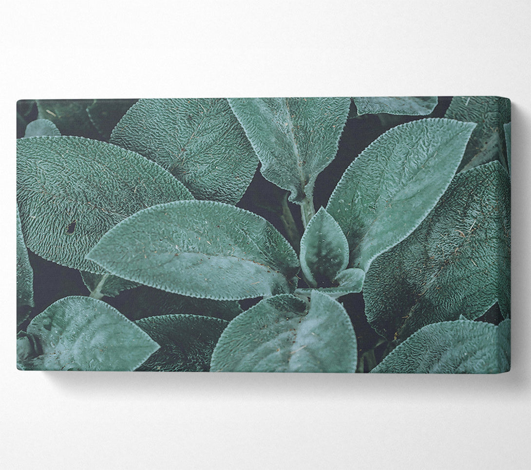  A Canvas Print of Emerald Leaf Texture Canvas Art