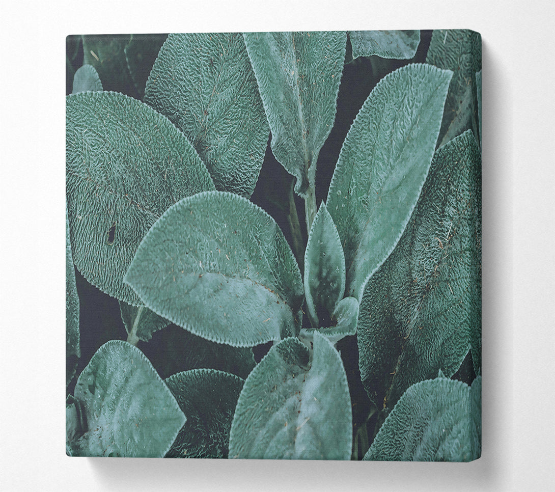  A Canvas Print of Emerald Leaf Texture Canvas Art