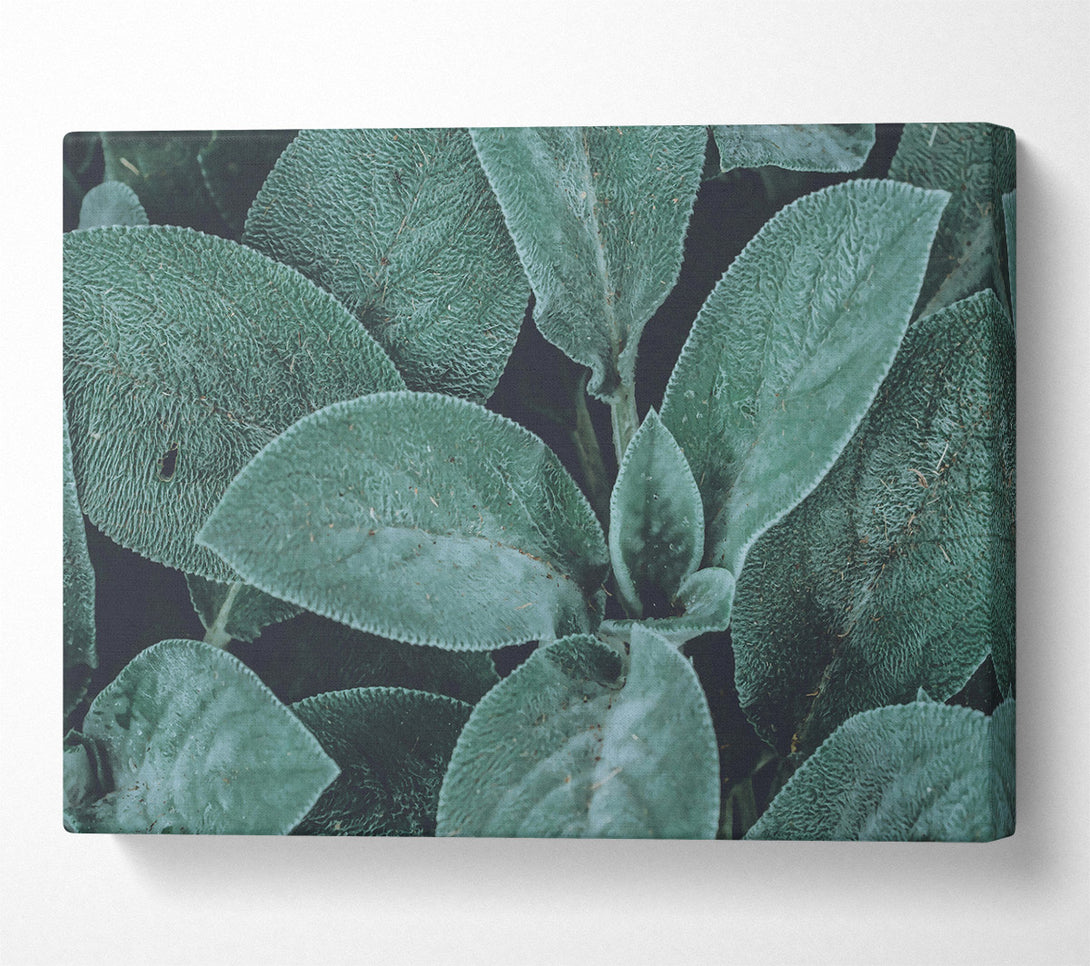  A Canvas Print of Emerald Leaf Texture Canvas Art