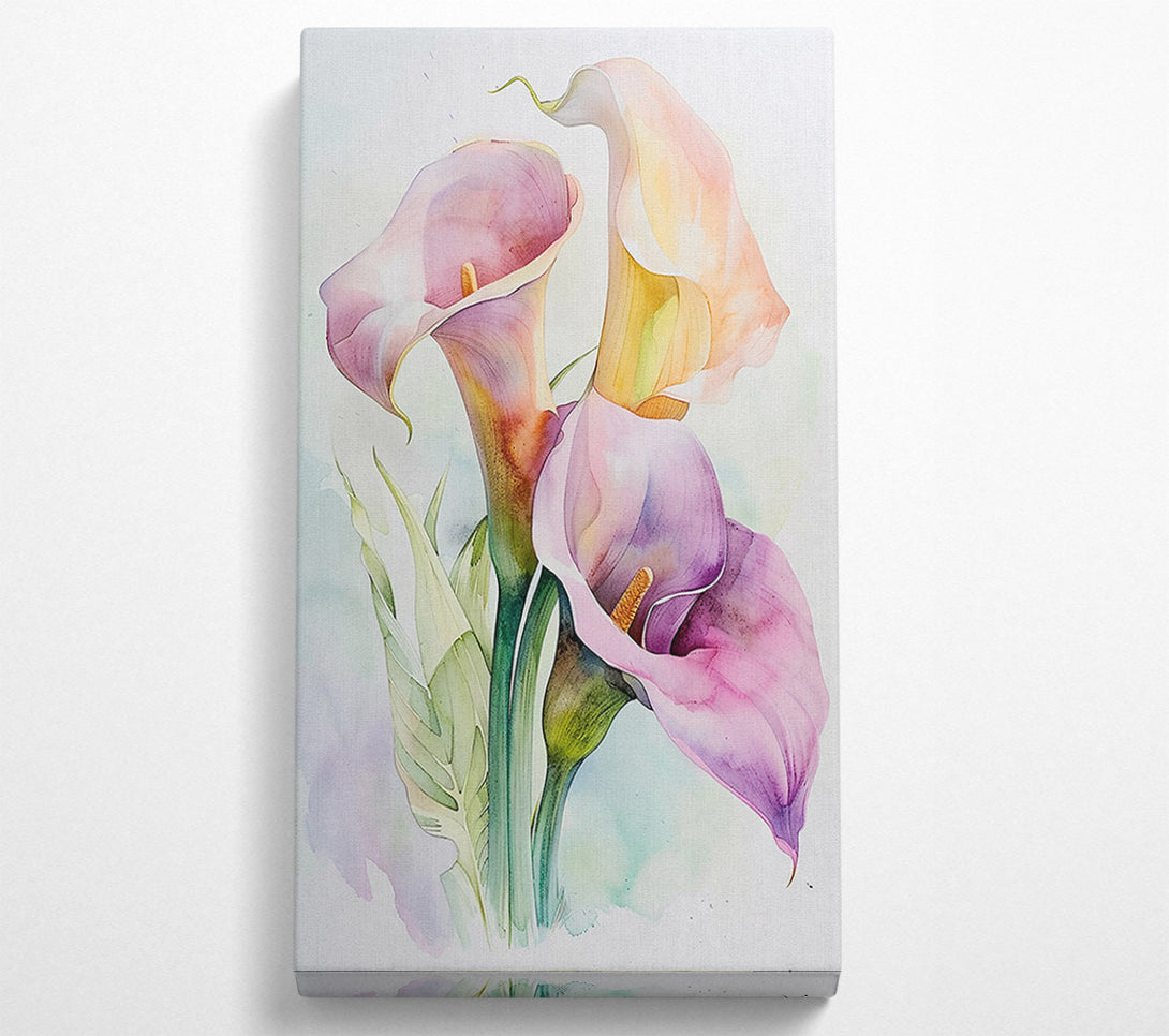  A Canvas Print of Lilac Calla Blooms Canvas Art