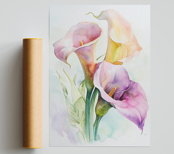 Lilac Calla Blooms Print
