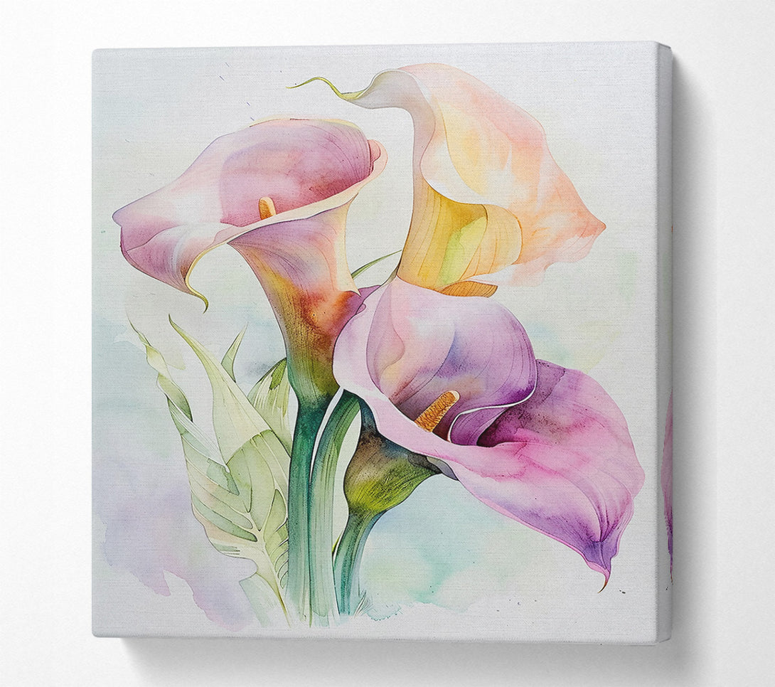  A Canvas Print of Lilac Calla Blooms Canvas Art