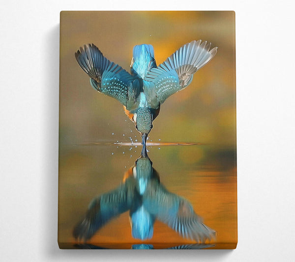  A Canvas Print of Azure Kingfisher Dive Canvas Print