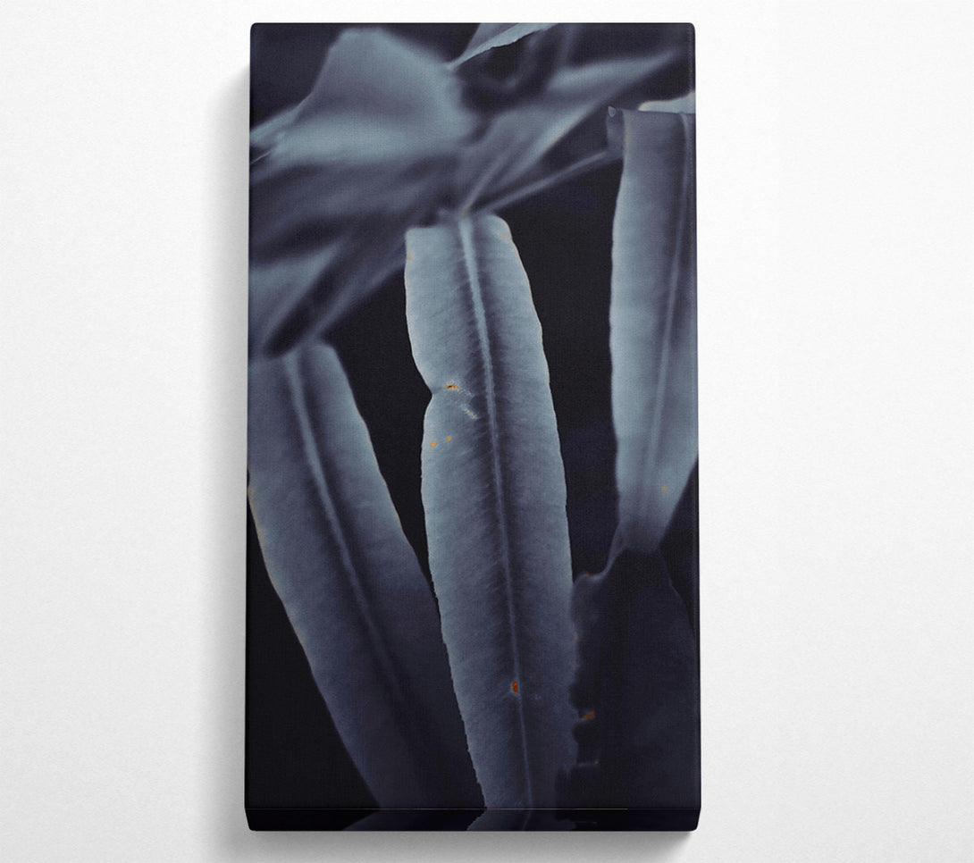  A Canvas Print of Indigo Leaf Shadows Canvas Print