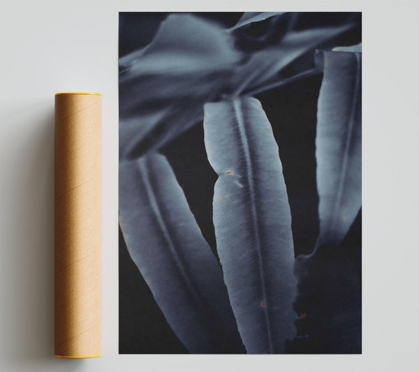Indigo Leaf Shadows Print