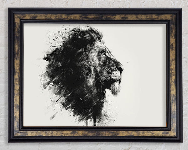 Charcoal Lion Framed Print