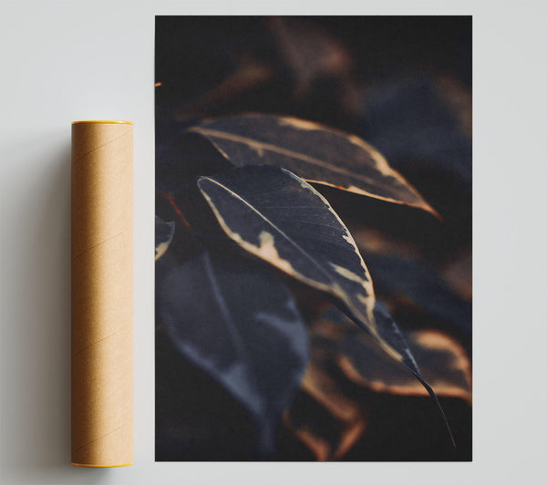 Dark Green Veins Giclee Print