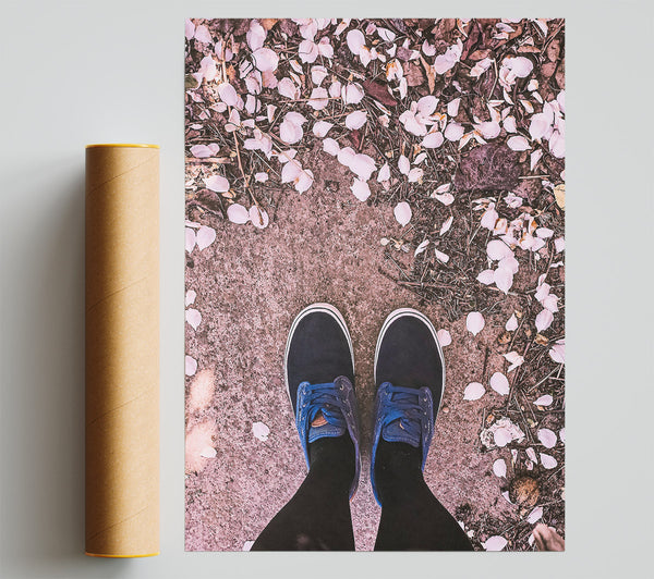 Pink Petal Path Poster