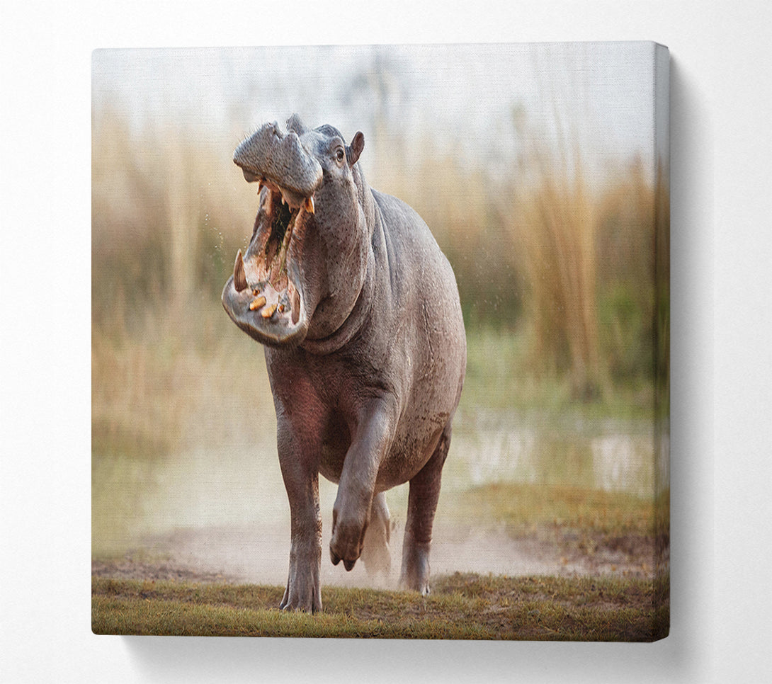  A Canvas Print of Charging Hippo Canvas Wall Art