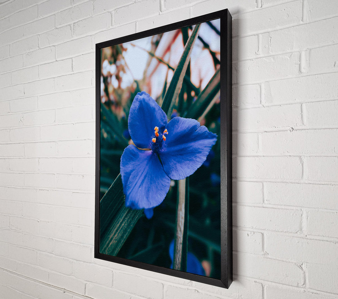  A Canvas Print of Azure Bloom Embrace Canvas Wall Art