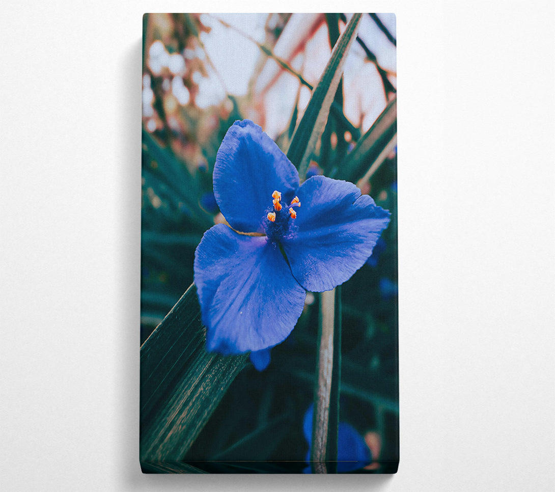  A Canvas Print of Azure Bloom Embrace Canvas Wall Art