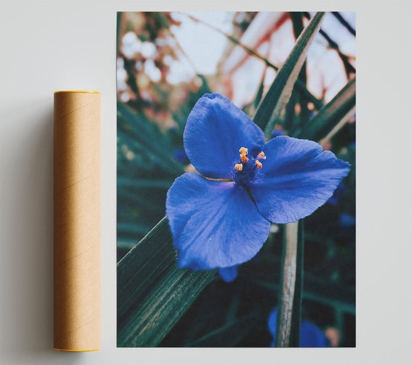 Azure Bloom Embrace Poster