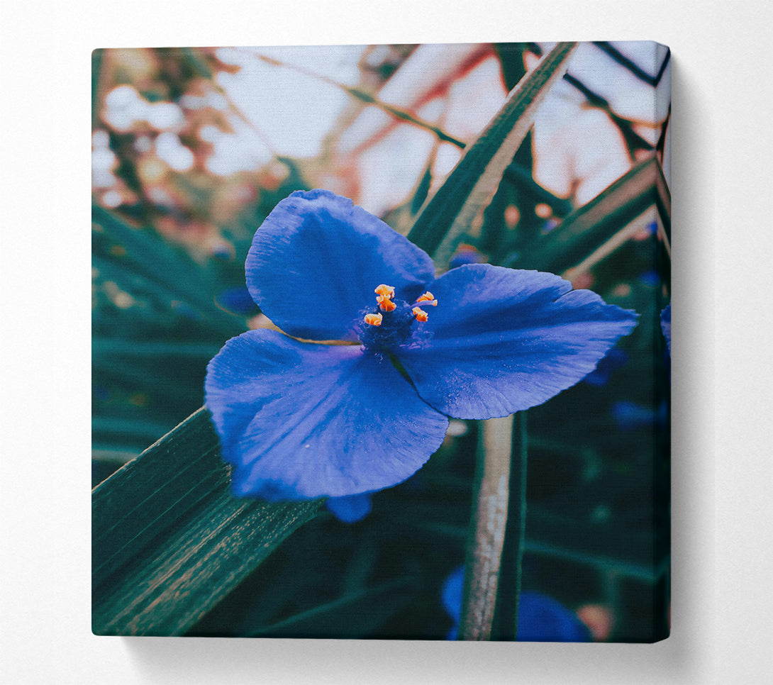  A Canvas Print of Azure Bloom Embrace Canvas Wall Art