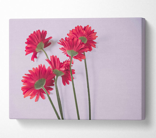  A Canvas Print of Crimson Bloom Symphony. Canvas Print