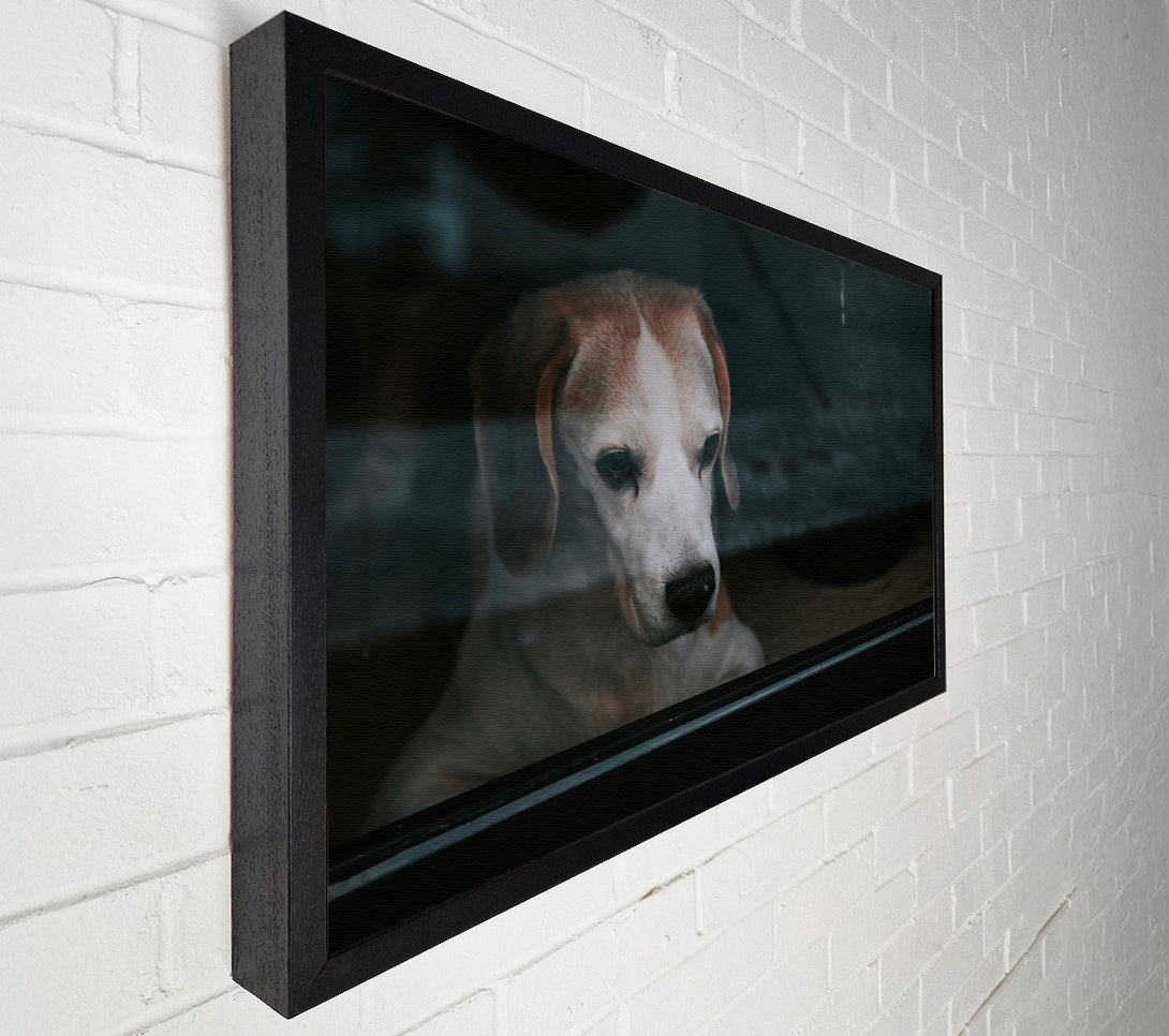  A Canvas Print of The Blue Gaze Canvas Art