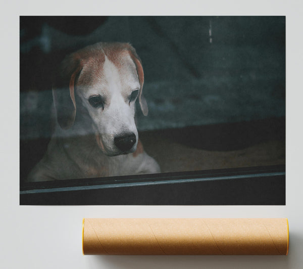 The Blue Gaze Print