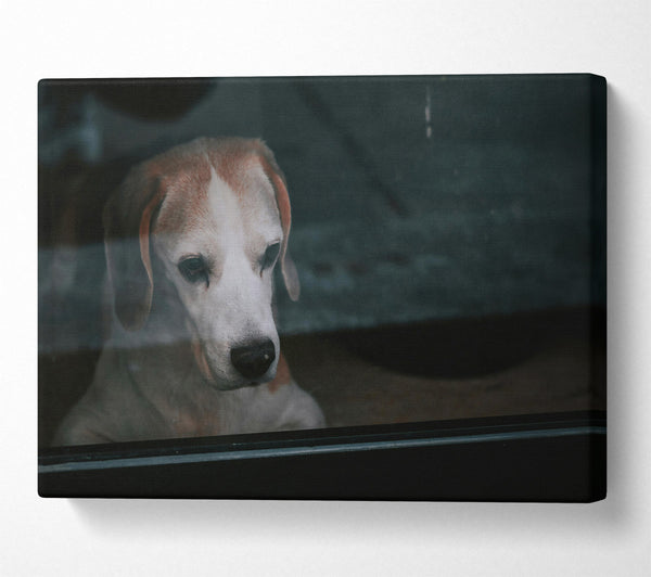  A Canvas Print of The Blue Gaze Canvas Art