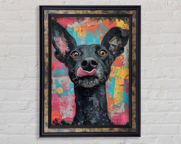 Cheeky Dog Framed Print