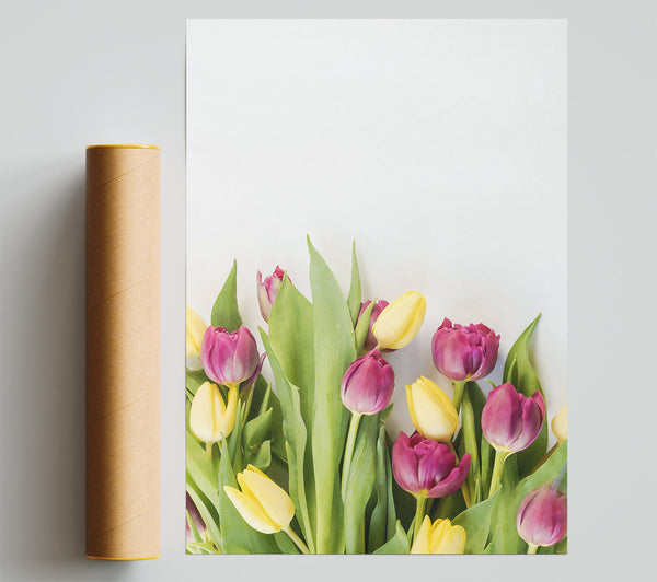 Purple And Yellow Tulips Giclee Print