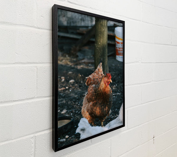 The Rusty Hen.