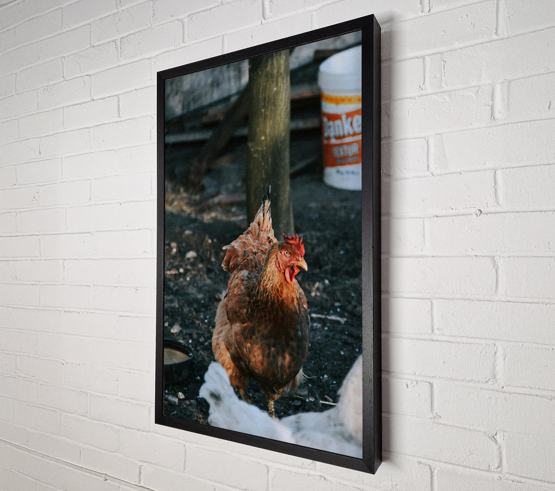  A Canvas Print of The Rusty Hen. Canvas Art