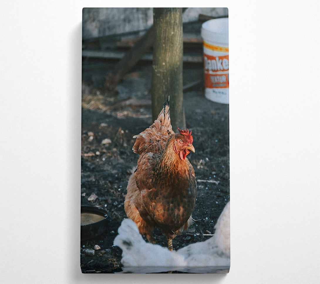  A Canvas Print of The Rusty Hen. Canvas Art