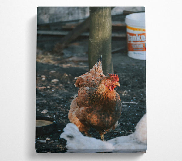  A Canvas Print of The Rusty Hen. Canvas Art