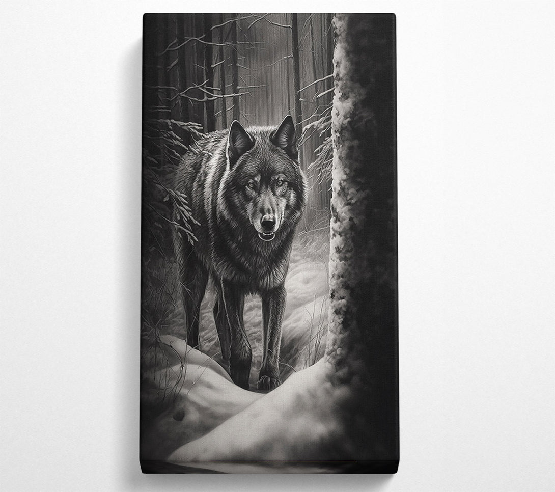  A Canvas Print of Black Wolf In Snow Canvas Art