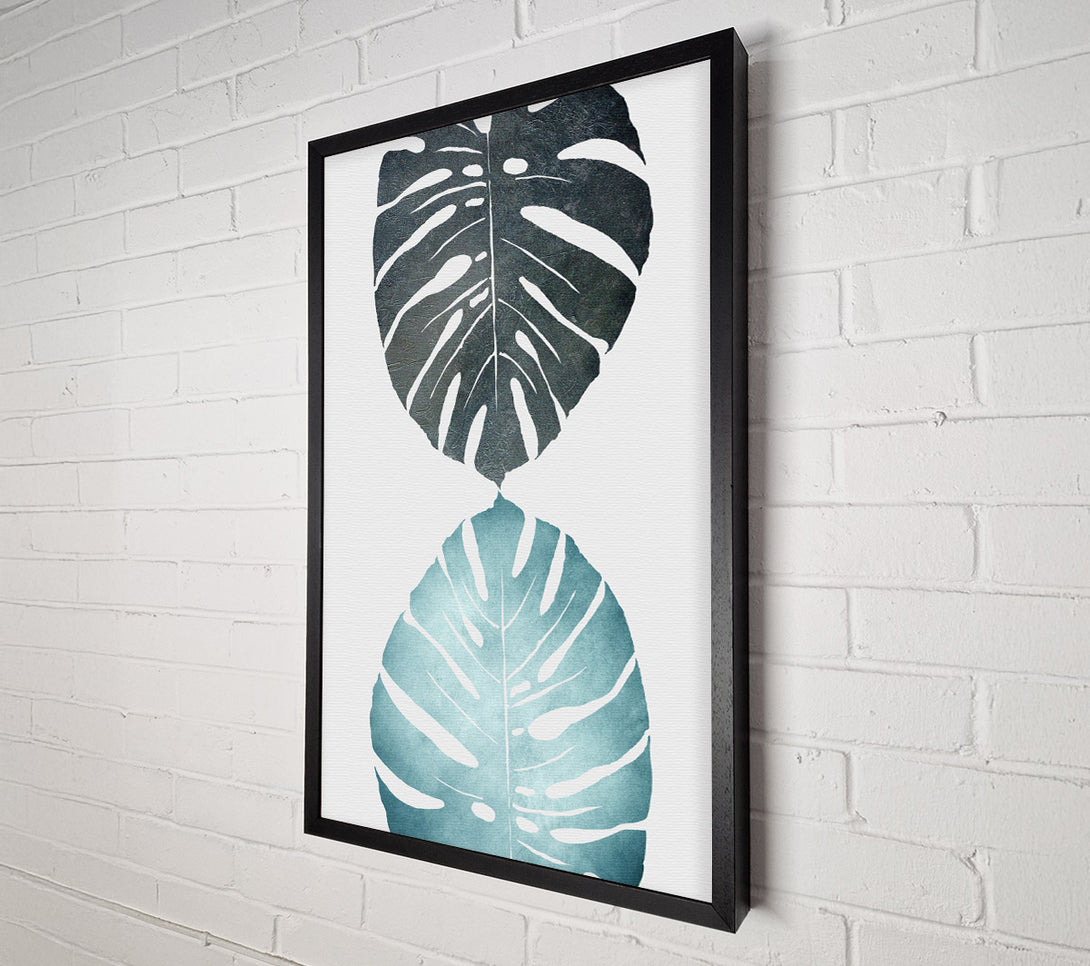  A Canvas Print of Cheese Plant Canvas Print