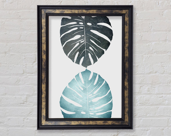 Cheese Plant Framed Print