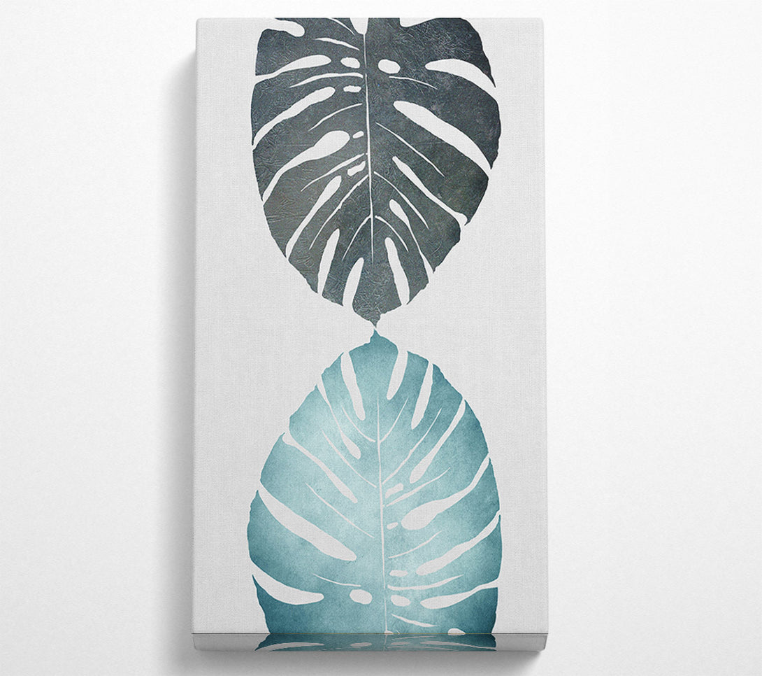  A Canvas Print of Cheese Plant Canvas Print