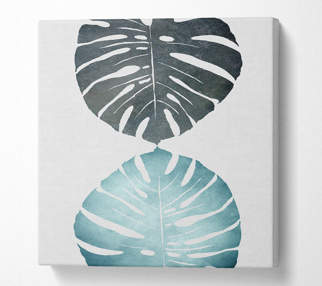  A Canvas Print of Cheese Plant Canvas Print