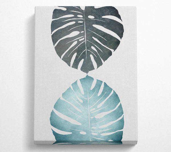  A Canvas Print of Cheese Plant Canvas Print