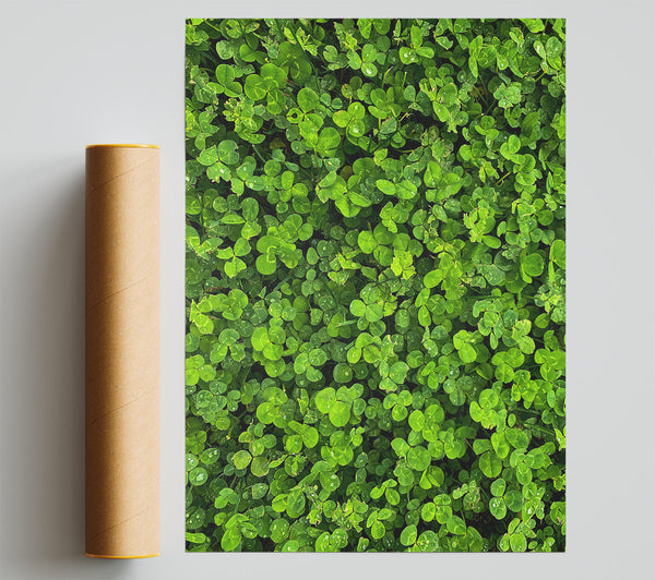 Emerald Clover Fields Giclee Print