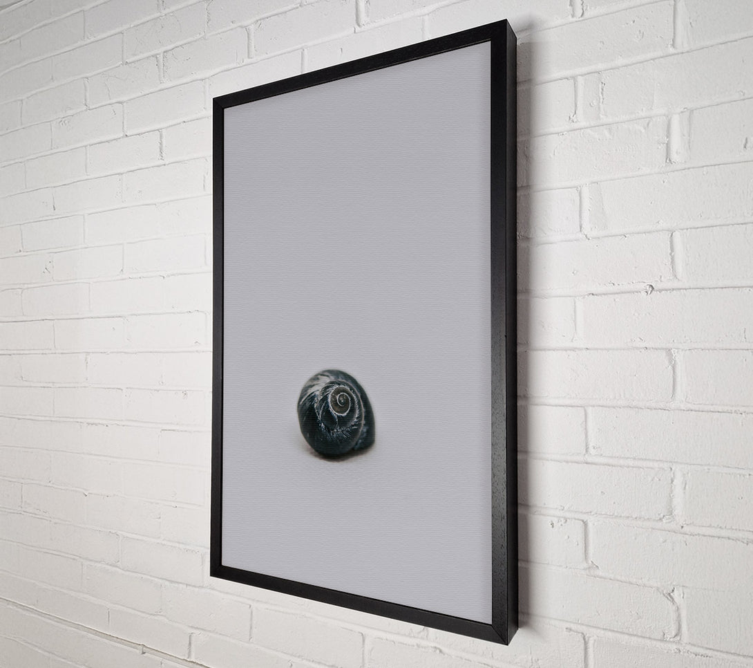  A Canvas Print of Black Shell Spiral Canvas Art